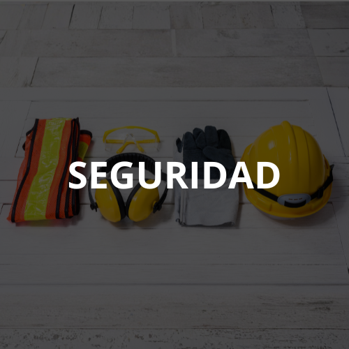 SEGURIDAD